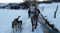 16174875_10154943611654233_4457077850873881587_n