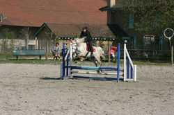 10170947_10152355882909233_3935556981028032608_n