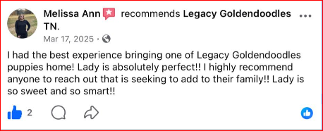 review_5.PNG