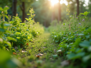 The Importance of Sustainable Living
