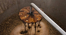brew 1.jpg