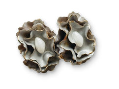 BAROQUE PEARL EARRINGS • Christel Jensen