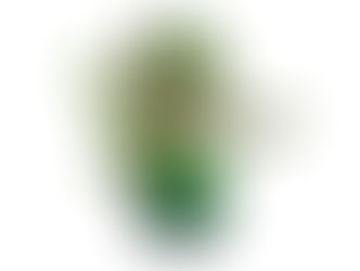 FRESH WATERMELON POT • Eduardo Farillo