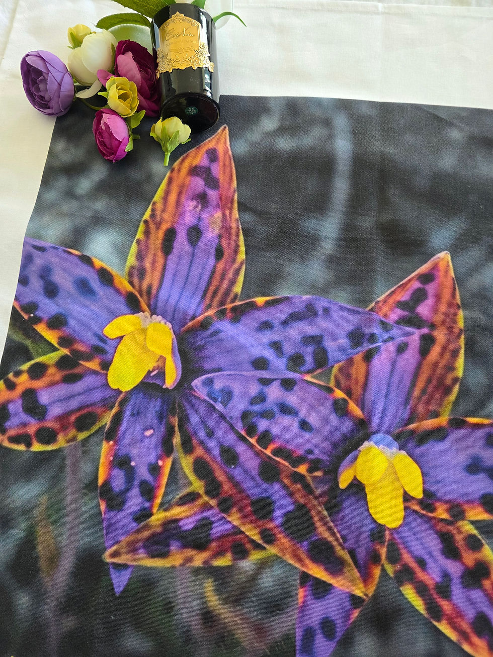 Thumbnail: Bluey Queen of Sheba orchid TW-QS02
