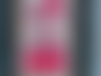 The US labor market remains tight in November