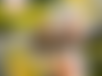 5 Nutrients You Need!