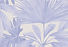 Tropical Leaf Art_edited_edited.jpg