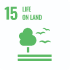Image (UN SDG 15)