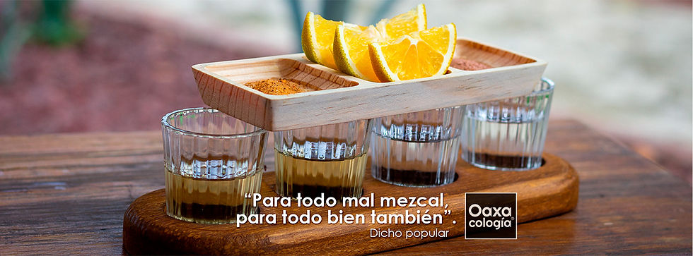 PORTADAS MEZCAL OAXACOLOGÍA.jpg