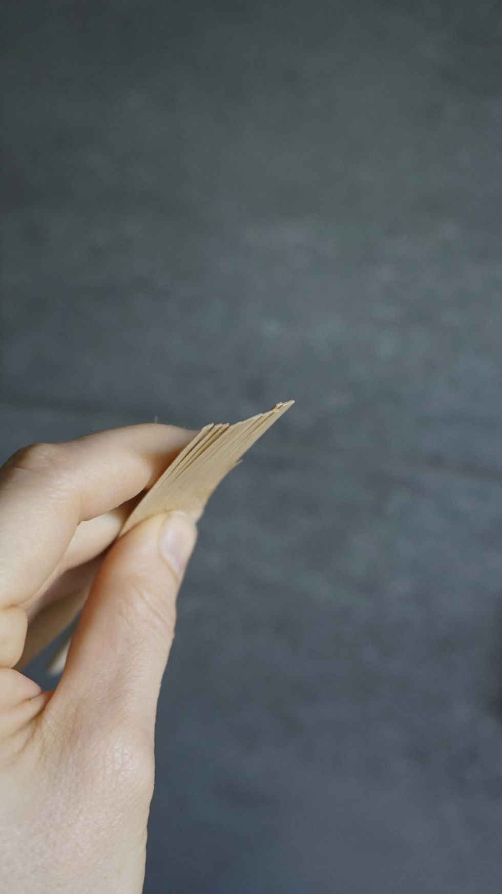 Thumbnail: Bamboo ginger grater brush top view