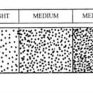 8/26/2019: Value- Stippling & Class Rules
