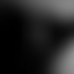 PHOTO 10/08: Elements of Art – Positive/Negative Space