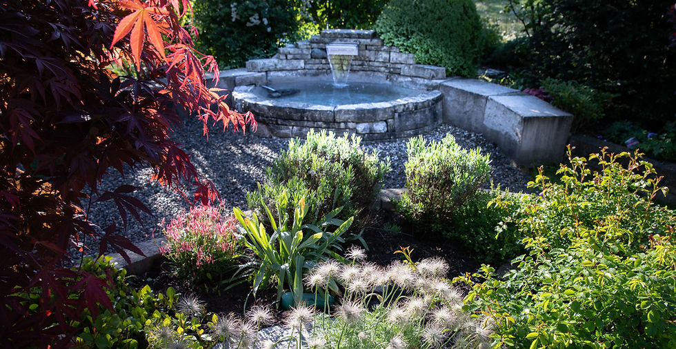 Brunnen im schönen Licht, begrünt und idylisch.