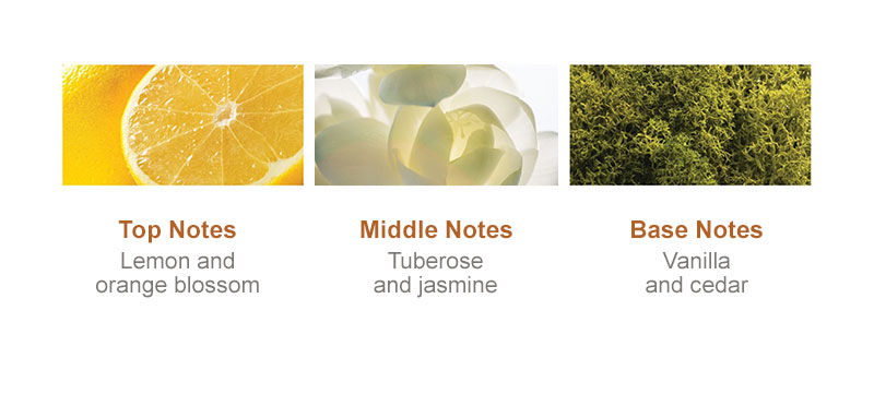 Thumbnail: Morocco Argan Oil Shampoo & Conditioner