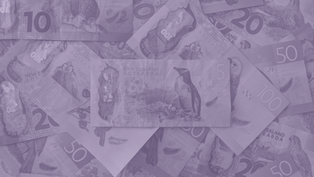 Explainer | Why Your Rates Keep Rising: How Local Government Funding Actually Works