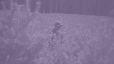 Opinion | The (In)Efficacy of Military-Style Academies