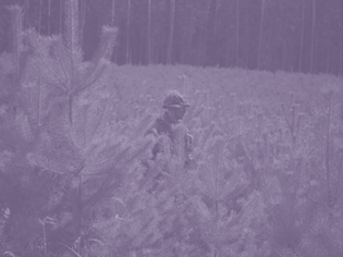 Opinion | The (In)Efficacy of Military-Style Academies