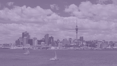 Explainer | From Voice to Influence: Democratic Participation in Superdiverse Auckland