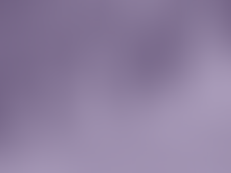 Explainer | The Return of Boot Camps: Background to MSAs