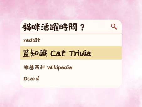 貓咪每日嘅活躍時間係幾時?