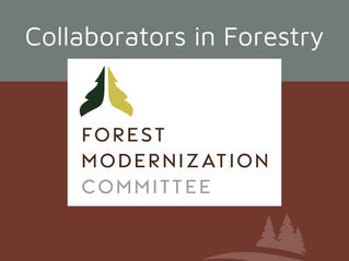 Collaborators in Forestry: Forest Modernization Committee