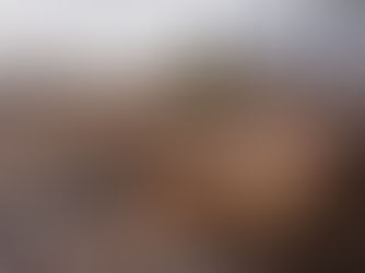 Central Chilcotin Rehabilitation Ltd. Highlights Impact of Government Partnerships Supporting Forest Rehabilitation