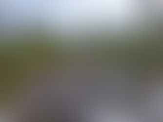 First Nations Crews in the Cariboo Chilcotin Lead Forest Tending Work to Help Reduce Wildfire Risk