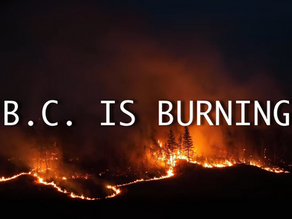 Central Chilcotin Rehabilitation Ltd. Featured in New Documentary “B.C. is Burning”