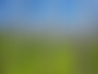 Forestry Update in the Cariboo Chilcotin: Progress Continues at Palmer Lake with Expanded Rehabilitation Activities