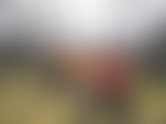 Central Chilcotin Rehabilitation Wins Business Partnership of the Year