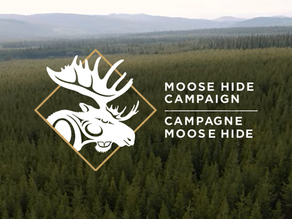 Recognizing the Moose Hide Campaign: A Commitment to Respect and Safety
