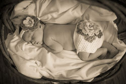 Newborn Pictures Georgetown, KY