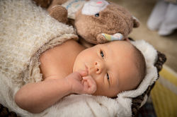 Newborn Pictures Georgetown, KY