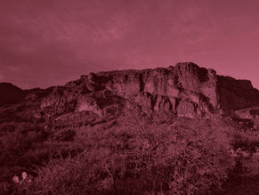 Peshlakai to Lead Indigenous Peoples Caucus, Gonzales Elected Vice Chair 