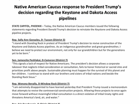 Native American Caucus Response to Trump pipeline decisions