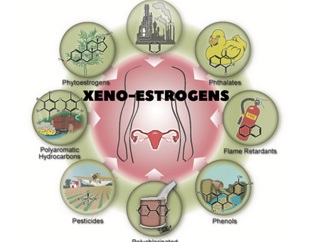 XENO-ESTROGENS