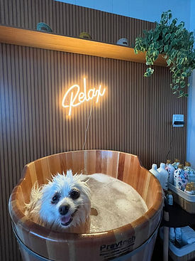 WhatsApp Image 2026-04-06 at 14.37.28.jpeg