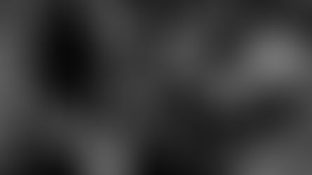 Bitva na Mrači l.p. 2009