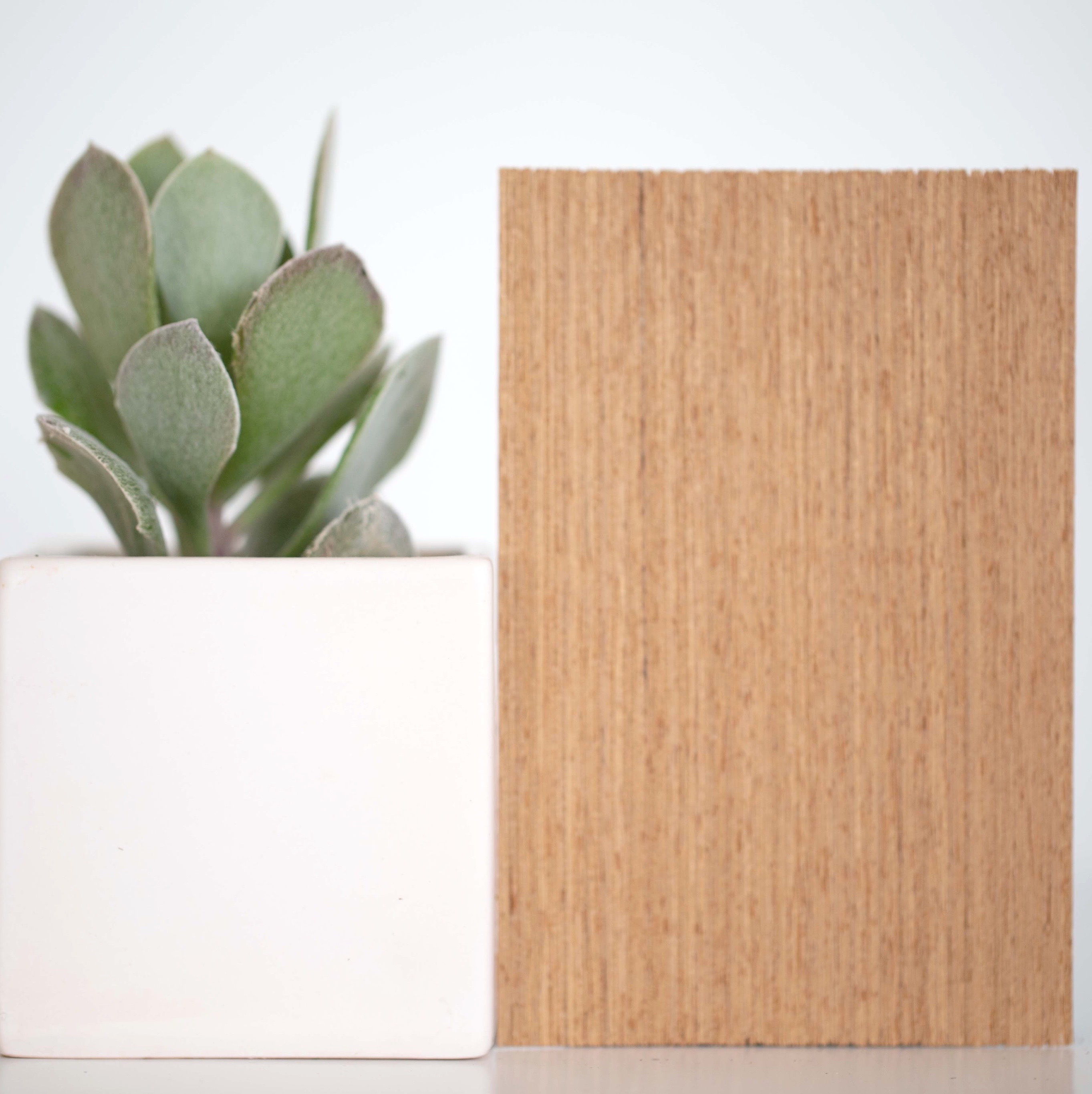 RECON - Teak