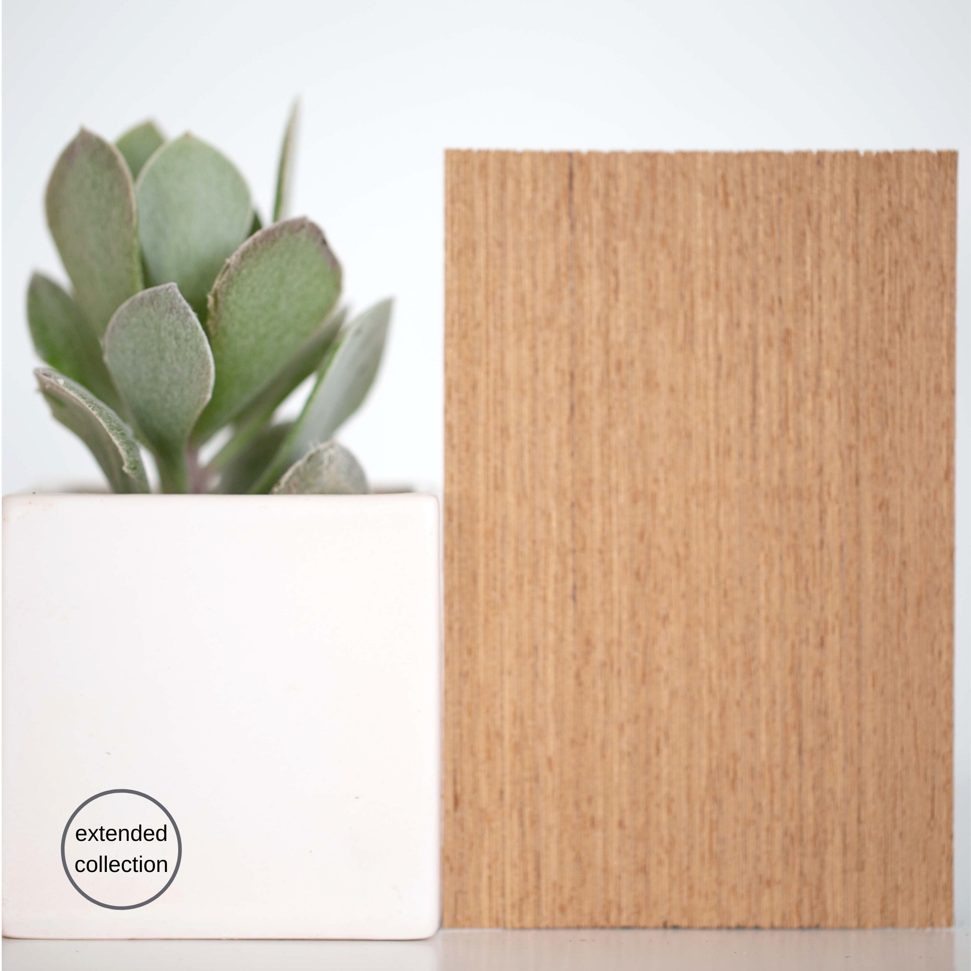 RECON - Teak