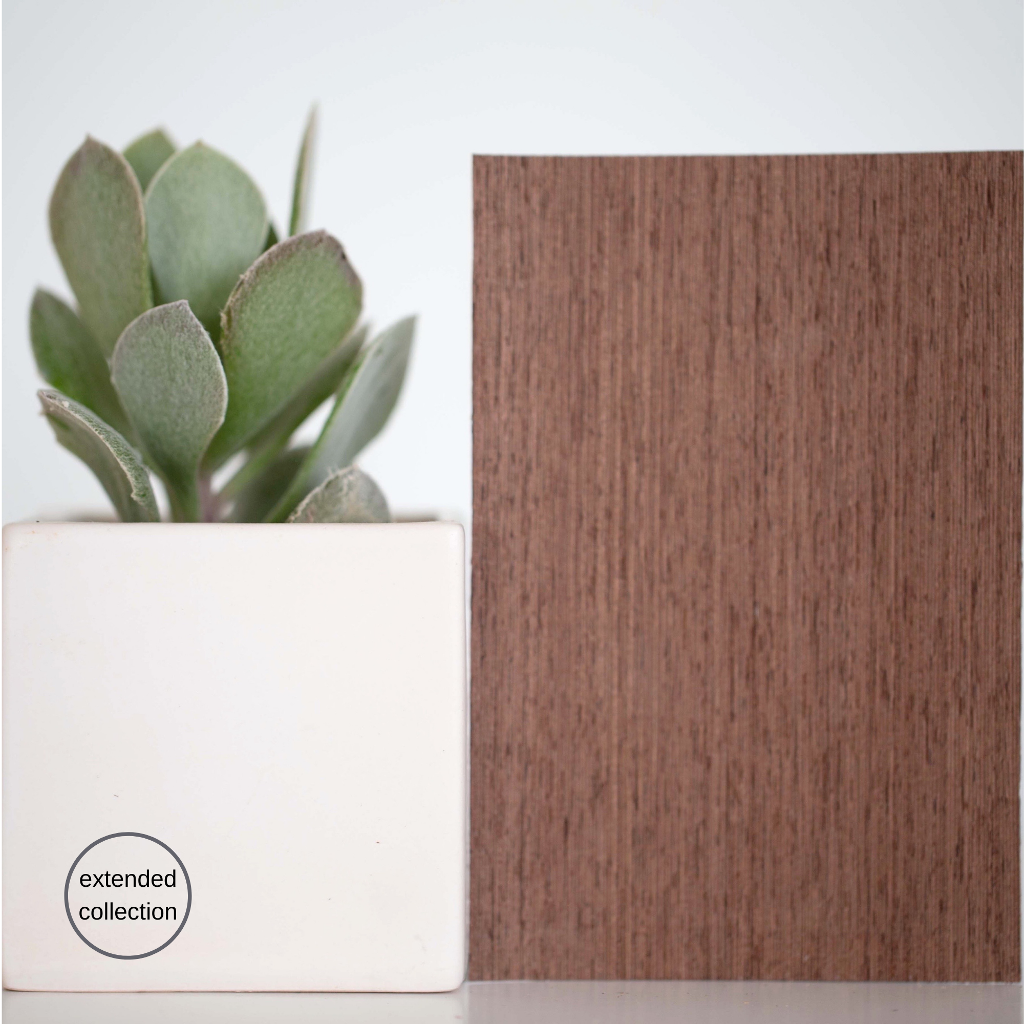 RECON - Wenge
