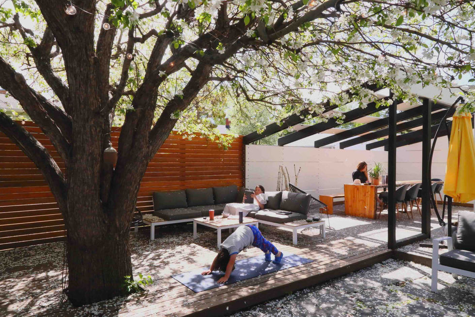 Backyard Workspace 2