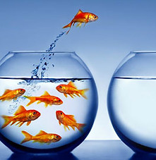 Confiance en soi
