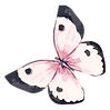 Renaitre