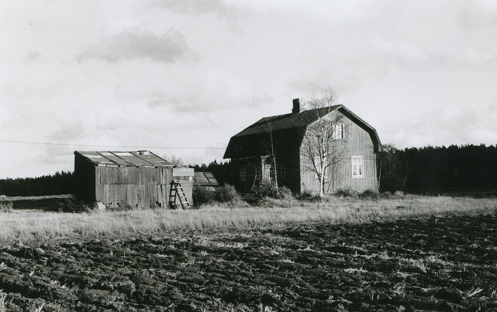 LM_7_193
