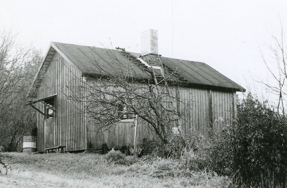 LM_7_154