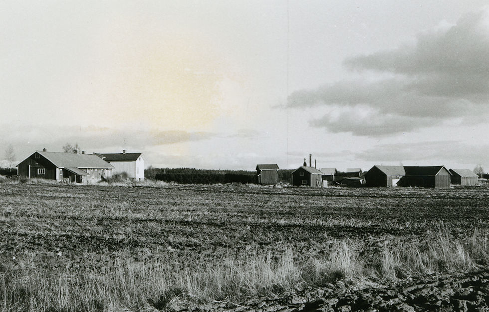 LM_7_170