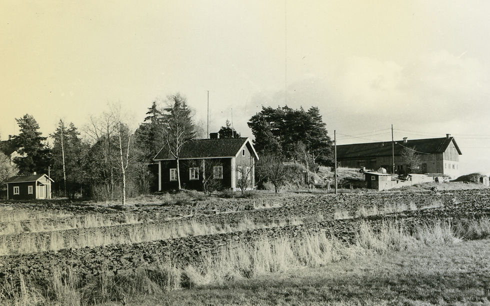 LM_7_172