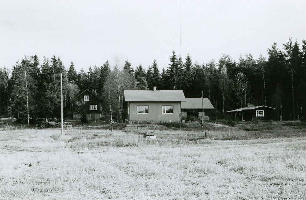 LM_7_186