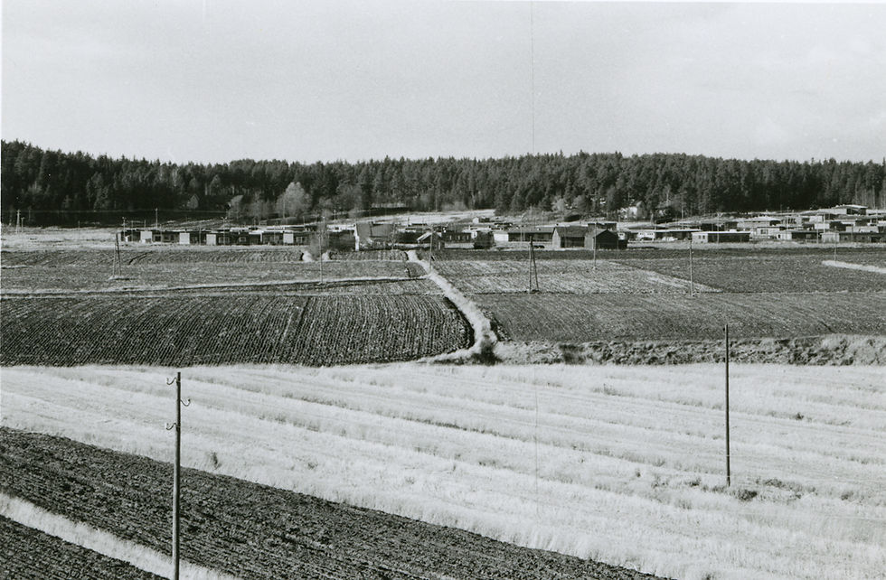 LM_7_160
